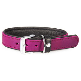 Produktbild von Hundehalsband Vancouver aus Leder in Violett/Schwarz 70 cm