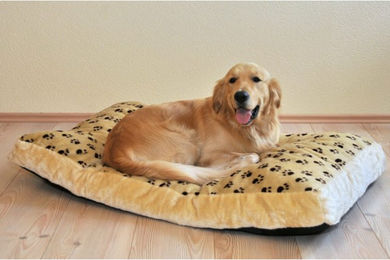 Hundekissen Silvio Design aus Plüsch in Größe XXL – Bild 1 von 2
