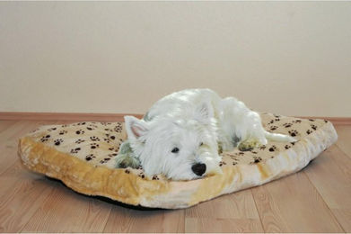 Produktbild von Hundekissen Silvio Liegewiese aus Plüsch in Beige und Braun Größe M - 42 cm