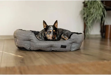 Produktbild von Hundekorb HFI Oval aus Kunstleder in Braun Schwarz Grau