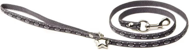 Produktbild von Hundeleine Alter Ego Bijoux Lurex in Silber und Grau