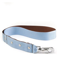 Produktbild von Hundeleine Alter Ego Blau mit Gurtband Größe L