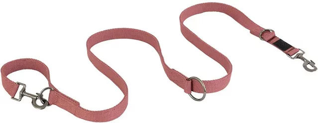 Produktbild von Hundeleine BR Equitation aus Gurtband in Rot oder Rosa