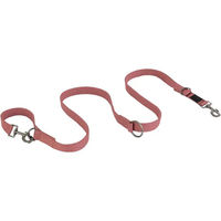 Produktbild von Hundeleine BR Equitation aus Gurtband in Rot oder Rosa