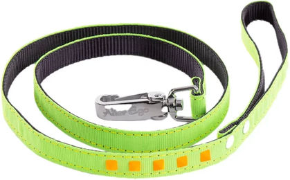 Produktbild von Hundeleine Martin Sellier Gurtband Fluo Grün 15/100 cm