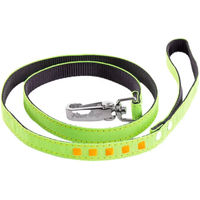 Produktbild von Hundeleine Martin Sellier Gurtband Fluo Grün 15/100 cm