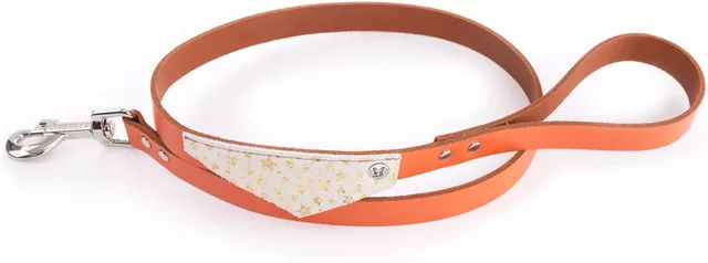 Produktbild von Hundeleine Martin Sellier Miami aus Kunstleder in Orange mit Gold
