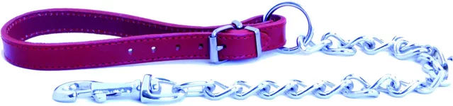 Produktbild von Hundeleine mit Ledergriff von Martin Sellier in Blau oder Rot, 60 cm