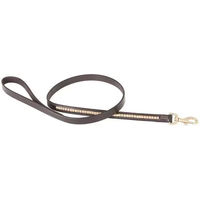 Produktbild von Hundeleine T de T Clincher aus Kunstleder 125 cm