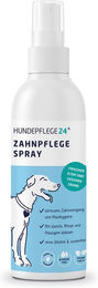 Hundepflege24 Zahnpflege Spray für Hunde ohne Zucker 125 ml – Bild 1 von 4