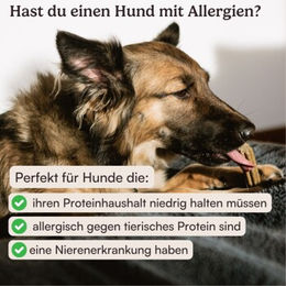 Hunderunde Dental Sticks Nussknacker vegane Zahnpflege für Hunde mit Erdnuss und Banane getreidefrei 360 g - 360 g – Bild 1 von 9