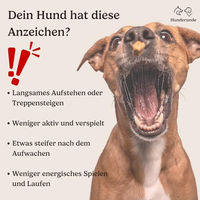 Produktbild von Hunderunde Futtertopping Knochen und Gelenke Pulver für Hunde aller Altersstufen und Größen 2x250g - 500 g