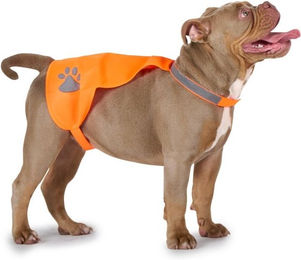 Hundesicherheitsweste in Orange Größe L-XL – Bild 1 von 1