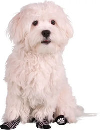 Produktbild von Hundesocken Flamingo Schwarz aus Polyester