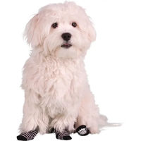 Produktbild von Hundesocken Flamingo Schwarz aus Polyester