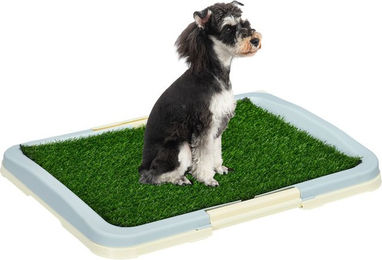 Hundetoilette für Welpen mit Kunstgras MH Handel GmbH Blau 63x48,5cm - 63 cm – Bild 1 von 11