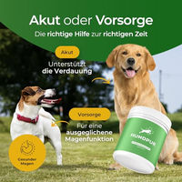 Produktbild von HUNDPUR Verdauungsglück Pellets für Hunde mit Probiotika und Hefekomplex zur Unterstützung von Magen-Darm und Immunsystem 300g