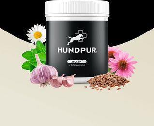 HUNDPUR® Z-PROTECT Haut-Fell-Supplement Pellets mit Kräuterkomplex für Hunde aller Altersstufen und Größen 300g – Bild 1 von 4