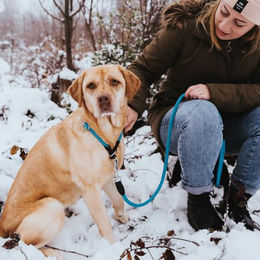 Hunter Dressurhalsband Freestyle Tauhalsband für Hunde dunkelgrün Größe S wasserabweisend – Bild 1 von 2