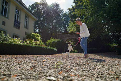 HUNTER Freestyle Verstellbare Hundeführleine aus Tau in Himbeerrot 200 cm – Bild 1 von 4