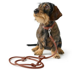 Hunter Führleine Soho Round Mini aus Leder für Welpen und kleine Hunde Braun 200 cm - 200 cm – Bild 1 von 2