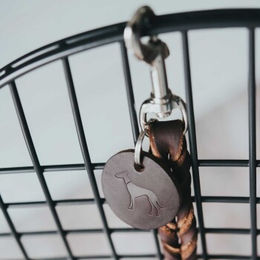 Hunter Führleine Solid Education für Hunde aus Leder dunkelblau 2 m – Bild 1 von 3