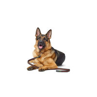 Produktbild von Hunter Führleine Visby Super Grip für Hunde, reflektierend, gummiert und wasserfest, Orange, 120 cm - 120 cm
