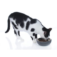 Produktbild von HUNTER Futternapf Graz aus Edelstahl für Hunde und Katzen Anthrazit 350ml