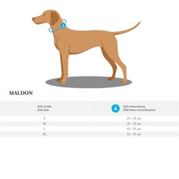 Hunter Halsband Maldon für Hunde aus Nylon in Petrol/Grau Größe L – Bild 1 von 3