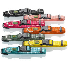 Hunter Halsband Tripoli Vario Basic für Welpen und kleine Hunde, Nylon, Grün, wasserabweisend, XS - 1 Stk. – Bild 1 von 3