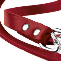Produktbild von Hunter Hundeführleine aus Leder lila M-L 200 cm