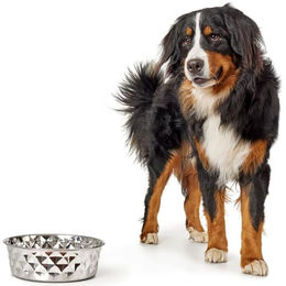Hunter Hundefutterstation aus Edelstahl und Silikon 2,6 l Silber Bunt - 2,6 l – Bild 1 von 9