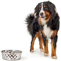 Produktbild von Hunter Hundefutterstation aus Edelstahl und Silikon 2,6 l Silber Bunt - 2,6 l