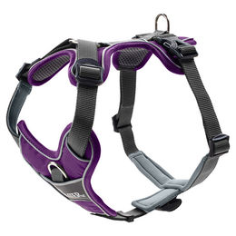 Produktbild von Hunter Hundegeschirr Divo Mini aus Nylon lila grau Größe XS