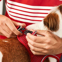 Hunter Hundegeschirr Hilo Comfort FC Bayern München rot Größe XS – Bild 1 von 3