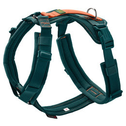Hunter Hundegeschirr Maldon 3.0 Petrol/Orange Größe XS aus Polyester – Bild 1 von 1