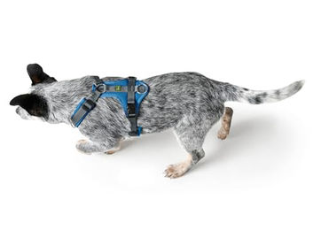 Hunter Hundegeschirr Maldon UP Y-Geschirr blau grau Größe M-L reflektierend und gepolstert – Bild 1 von 4