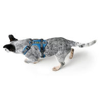 Produktbild von Hunter Hundegeschirr Maldon UP Y-Geschirr blau grau Größe M-L reflektierend und gepolstert
