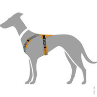 Produktbild von Hunter Hundegeschirr Maldon Up Y-Geschirr Dunkelgrün/Grau Größe XS-S