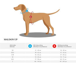 Hunter Hundegeschirr Maldon UP Y-Geschirr orange grau Größe S-M – Bild 1 von 7