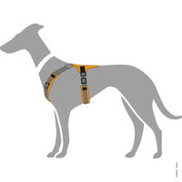 Produktbild von Hunter Hundegeschirr Maldon Up Y-Geschirr schwarz grau Größe L
