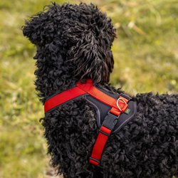 HUNTER Hundegeschirr Neopren Rot Schwarz Größe L – Bild 1 von 10