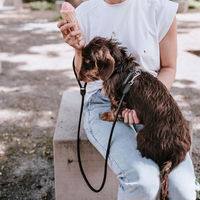 Produktbild von Hunter Hundegeschirr Round & Soft Canadian UP aus Leder Schwarz Größe S