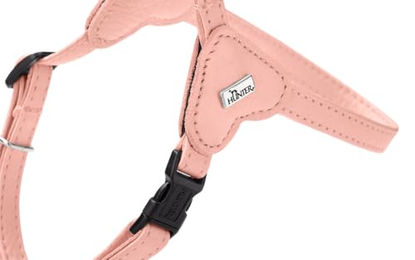 Hunter Hundegeschirr Soho Mini aus Leder für Welpen und kleine Hunde Rosa Größe XS-S – Bild 1 von 4