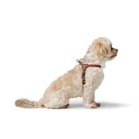 Produktbild von Hunter Hundegeschirr Soho Mini aus Rindsleder für Welpen und kleine Hunde in Cognac Braun Größe XS