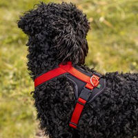Produktbild von Hunter Hundegeschirr Sportgeschirr Neopren rot schwarz Größe S