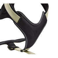 Produktbild von Hunter Hundegeschirr Y-Geschirr aus Neopren und Nylon in Grün/Schwarz Größe M