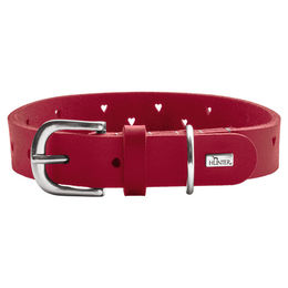 Hunter Hundehalsband Aalborg Soul aus Leder rot Größe XS – Bild 1 von 8