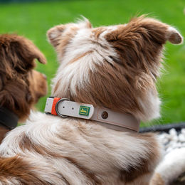 HUNTER Hundehalsband Havanna Greige Biothane wasserabweisend Größe 60 – Bild 1 von 7