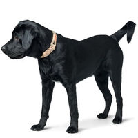 Produktbild von Hunter Hundehalsband Malia aus Tau und Leder in Weinrot/Dunkelbraun Größe 65 - 1 Stk.